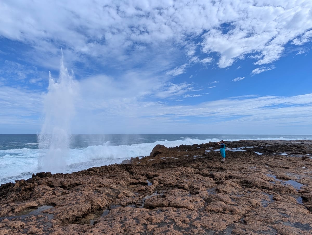 Dag 15: Carnarvon - Quobba Blow Holes