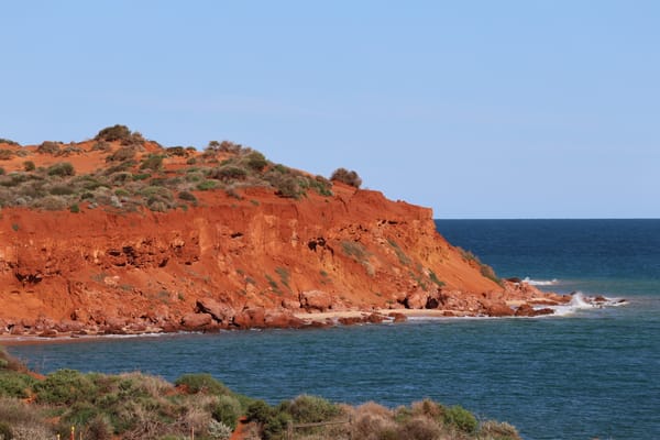 Dag 12: Denham - Francois Peron NP