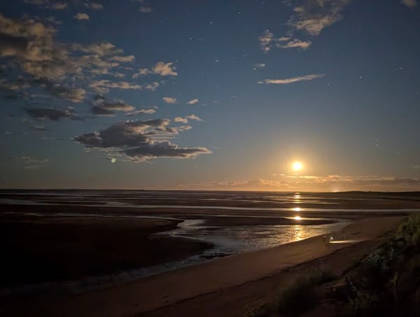 Dag 33: Point Samson - Port Hedland
